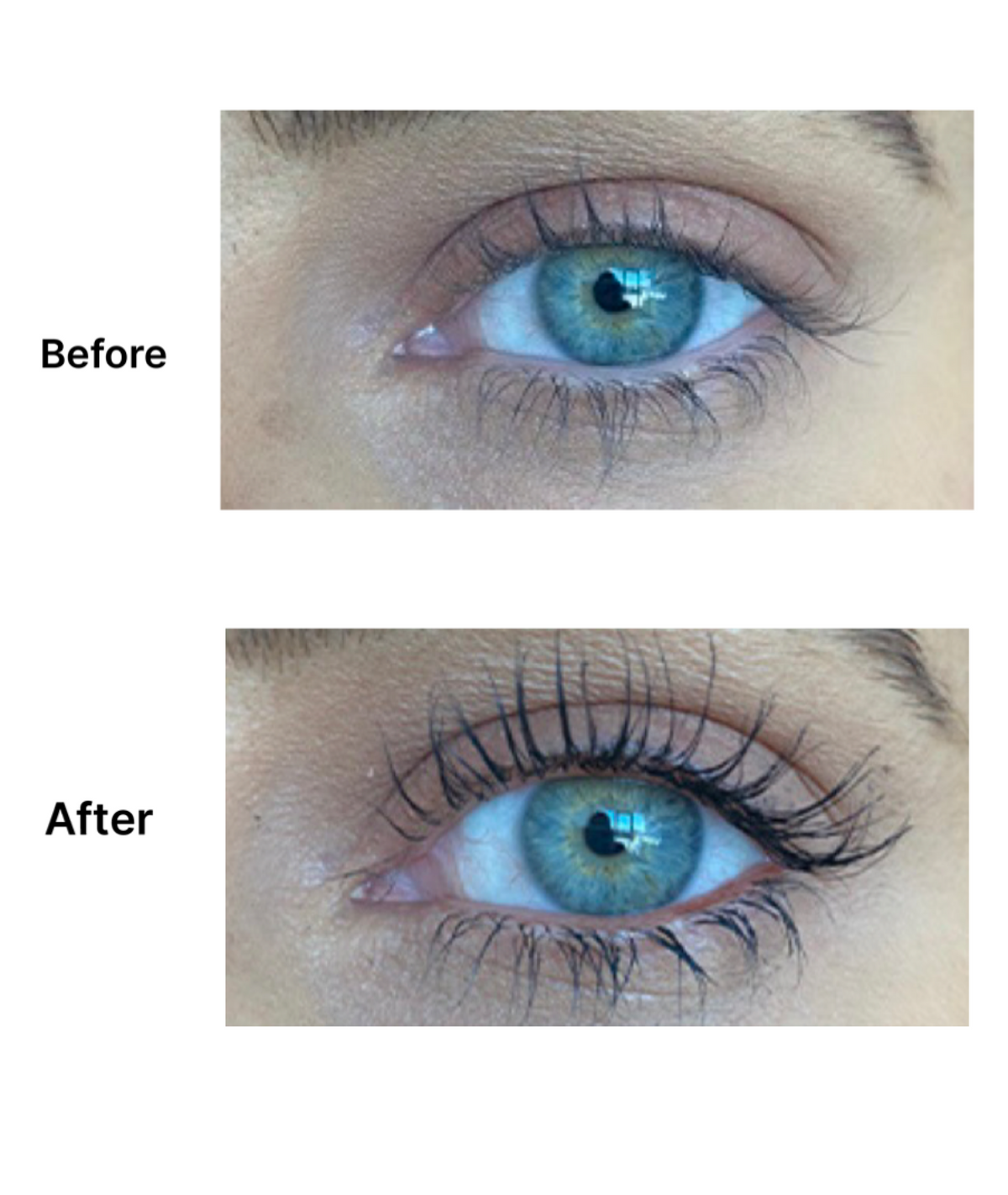 Perkylash Gentle Eyelash Serum Long & Strong - Perky Peche NZ