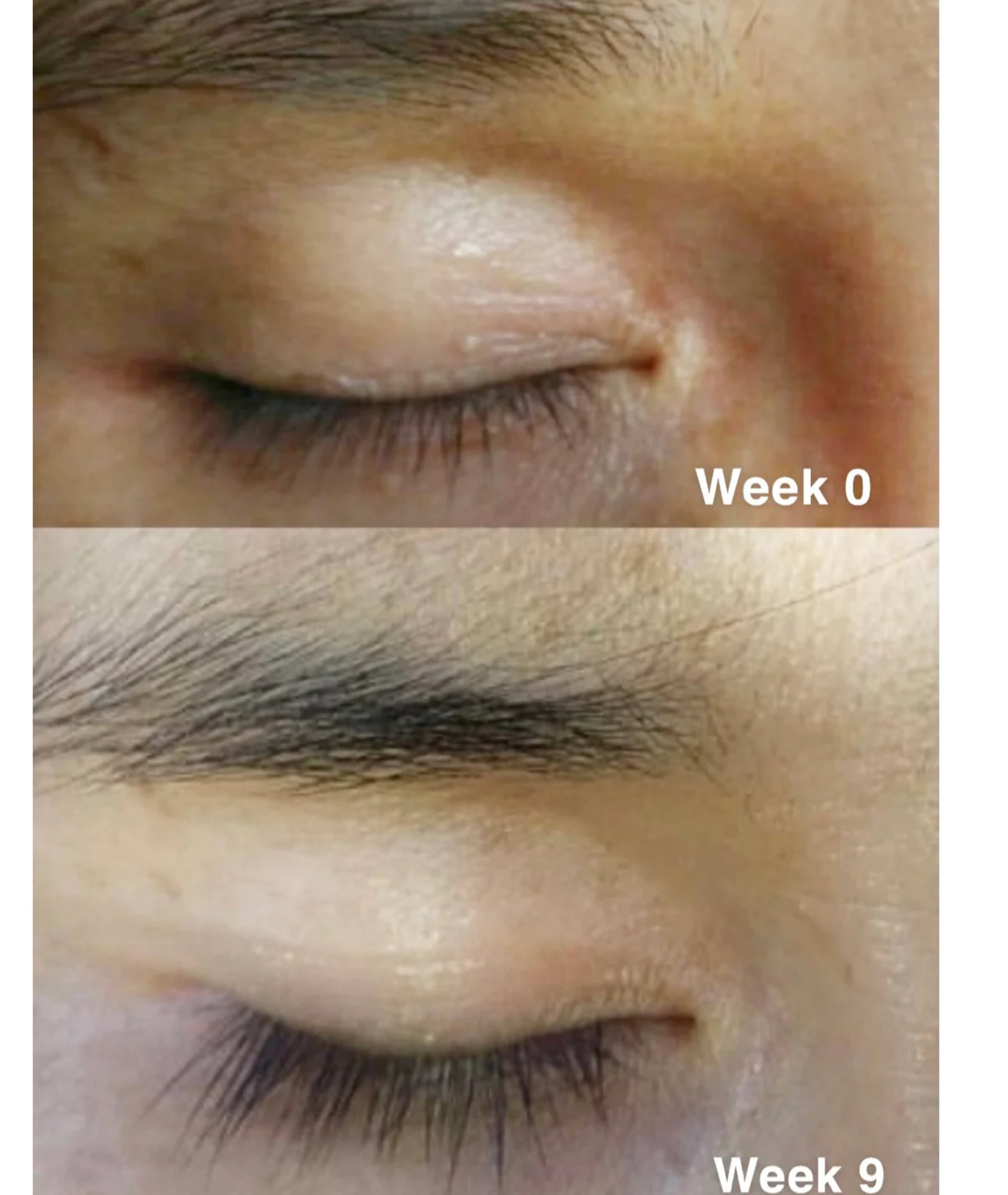 Perkylash Gentle Eyelash Serum - Long & Strong